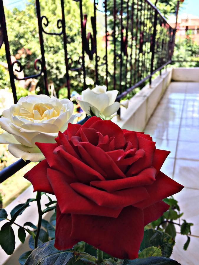 Hotel Самайпата Екстер'єр фото